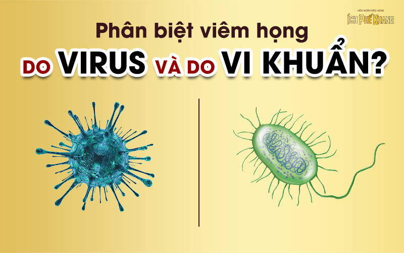Viêm họng do virus khác gì viêm họng do vi khuẩn? Cách phân biệt và xử trí đúng